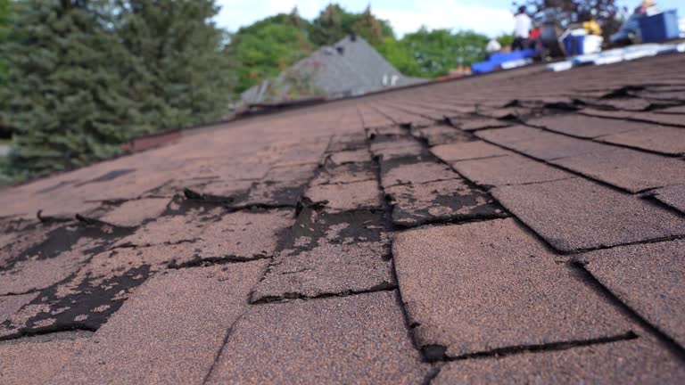 Best Roof Coating and Sealing  in Hampton, VA