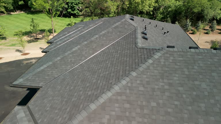 Best Solar Panel Roofing Installation  in Hampton, VA