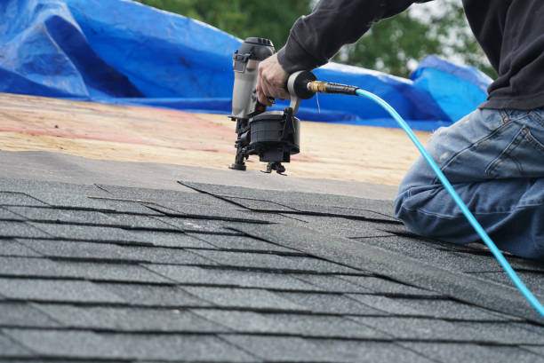 Best Sheet Metal Roofing  in Hampton, VA