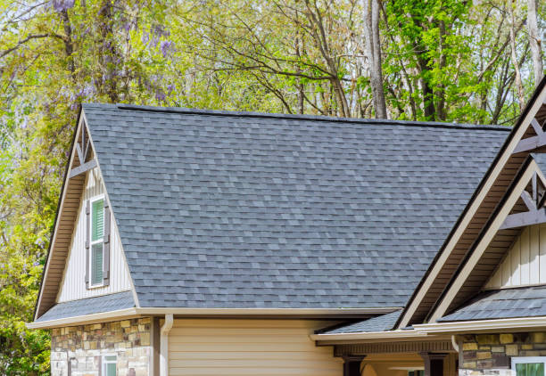 Best Roof Insulation Installation  in Hampton, VA
